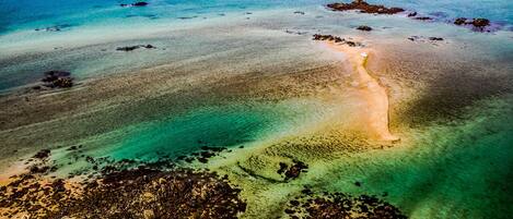 Plage, chaises longues