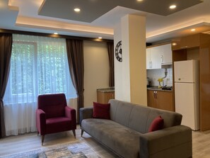 شقة ديلوكس - غرفة نوم واحدة | منطقة المعيشة | تلفزيون إل سي دي بحجم 32-بوصة يعرض قنوات فضائية، تلفزيون