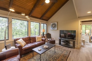 Smart TV, fireplace, DVD player, stereo