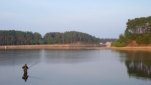 Un lac paisible où une personne pêche, entouré d’une forêt dense et sous un ciel dégagé.