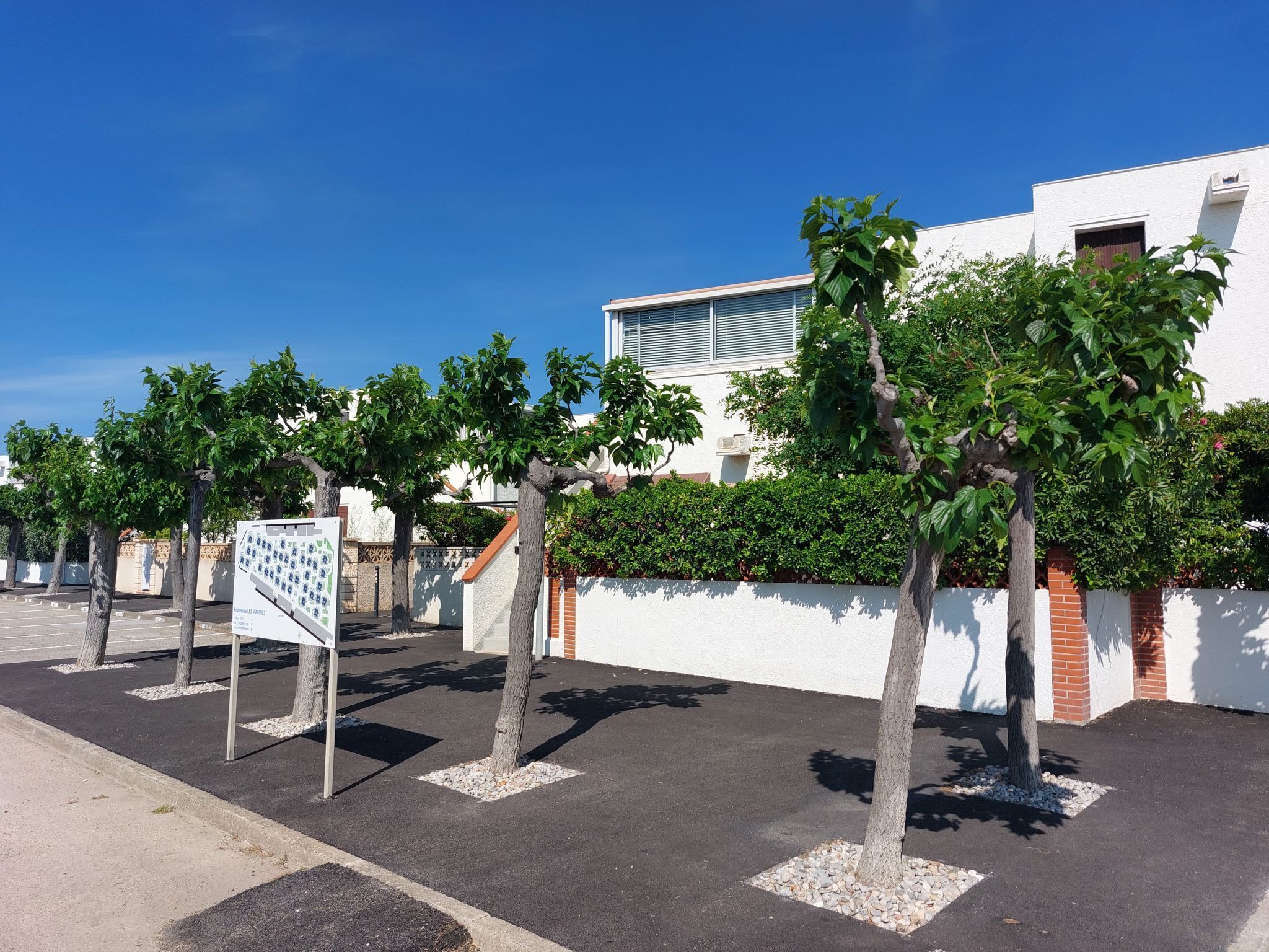 A parking area with trees and a white building with a modern design.