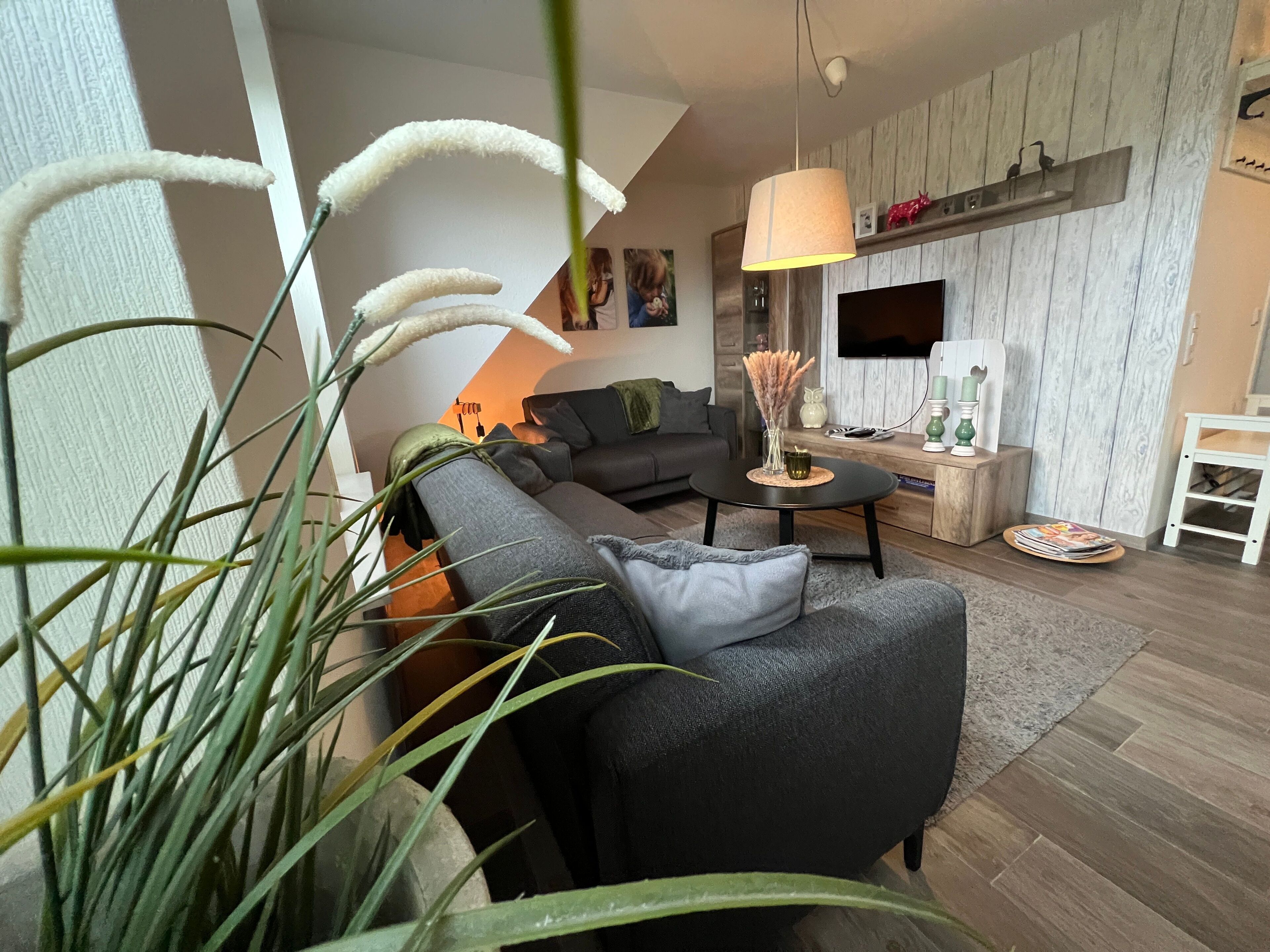 Télévision, jeux vidéo