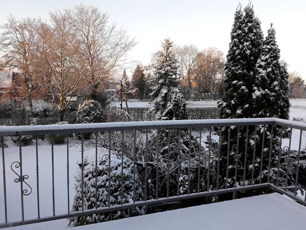A snow-covered balcony with a metal railing, trees, and a hedge in the background.