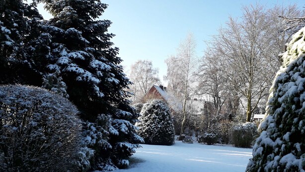A snow-covered garden with a house in the background. - Ferienwohnung 3 - Ferienwohnung Haus Bikker (Ihlow)