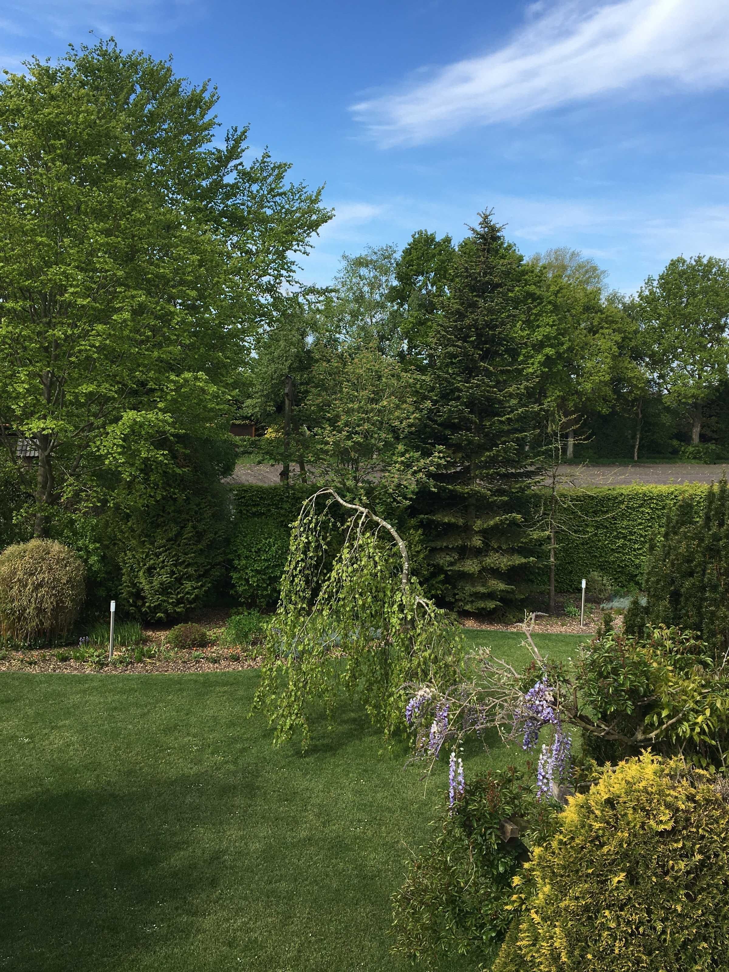 Un jardin bien entretenu, avec une variété d’arbres et d’arbustes, une pelouse soigneusement taillée et un ciel d’un bleu éclatant.