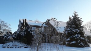 A snow-covered residential area with a house, a large evergreen tree, and a weeping willow in the foreground. - Ferienwohnung 3 - Ferienwohnung Haus Bikker (Ihlow)