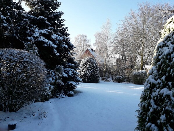 A snow-covered garden with a house in the background.