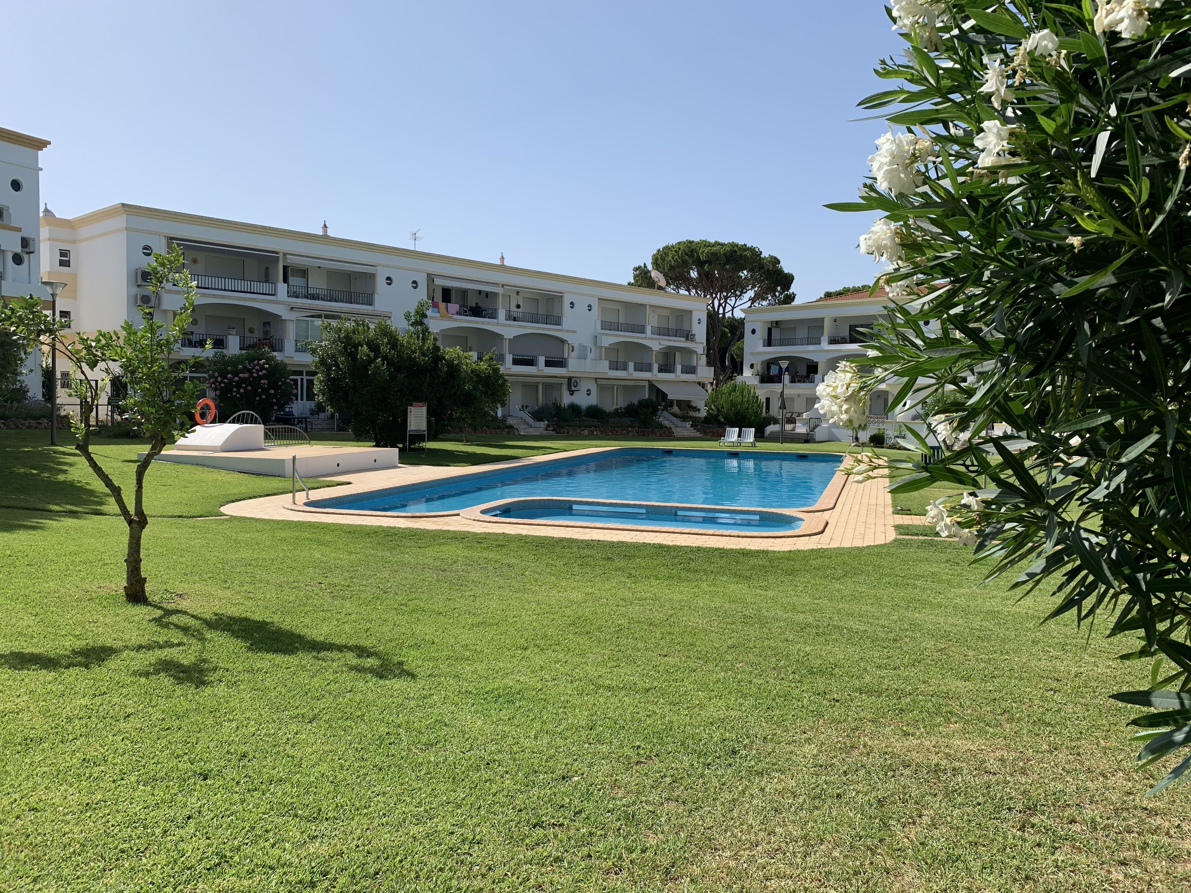 A swimming pool surrounded by well-maintained grass, with a building featuring balconies and a clear sky in the background.