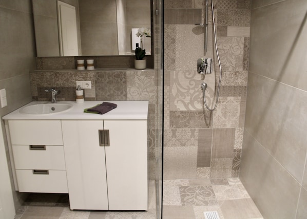 Shower, hair dryer, towels, soap