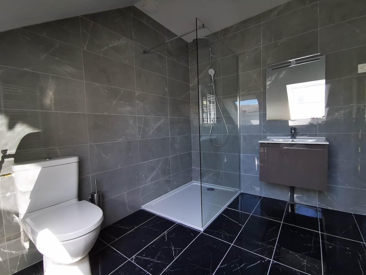 A modern bathroom with a toilet, a glass shower enclosure, and a vanity with a mirror.