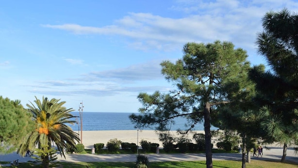 A coastal area with a sandy beach, palm trees, and a road leading to the beach. - Charming 2-Room Apartment Near Sea in Argelès-sur-Mer (Argelès-sur-Mer)