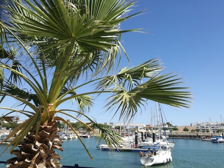 Marina. Apartamento Palmeras y Adelfas, Golf y Playas cercanas Costa de la Luz y Algarve