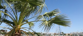 Apartamento Palmeras y Adelfas, Golf y Playas cercanas Costa de la Luz y Algarve