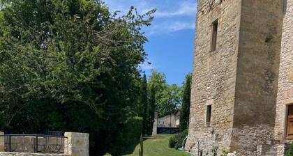 Luxury apartment in a renovated Chateau with a view of the Pyrenees.