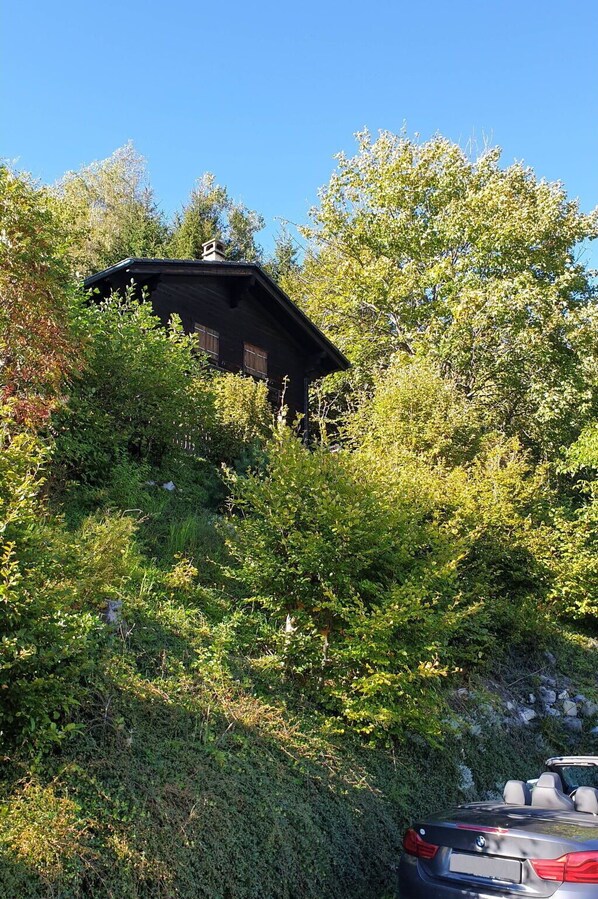 Extérieur