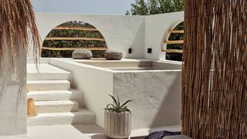 Junior Suite with Private Pool | Terraza o patio