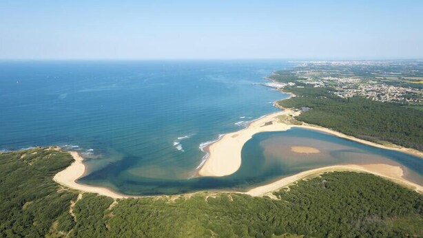 Vista aérea de una zona costera con playa arenosa, aguas azules cristalinas y un bosque verde frondoso.