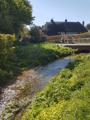 Property grounds - Charming  3 bed Thatched cottage in rural village near Stockbridge Winchester. (Stockbridge)