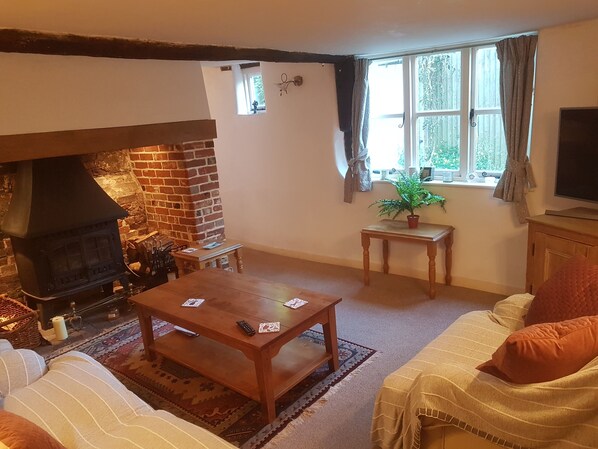 Smart TV, fireplace, DVD player, stereo