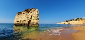Serviettes de plage
