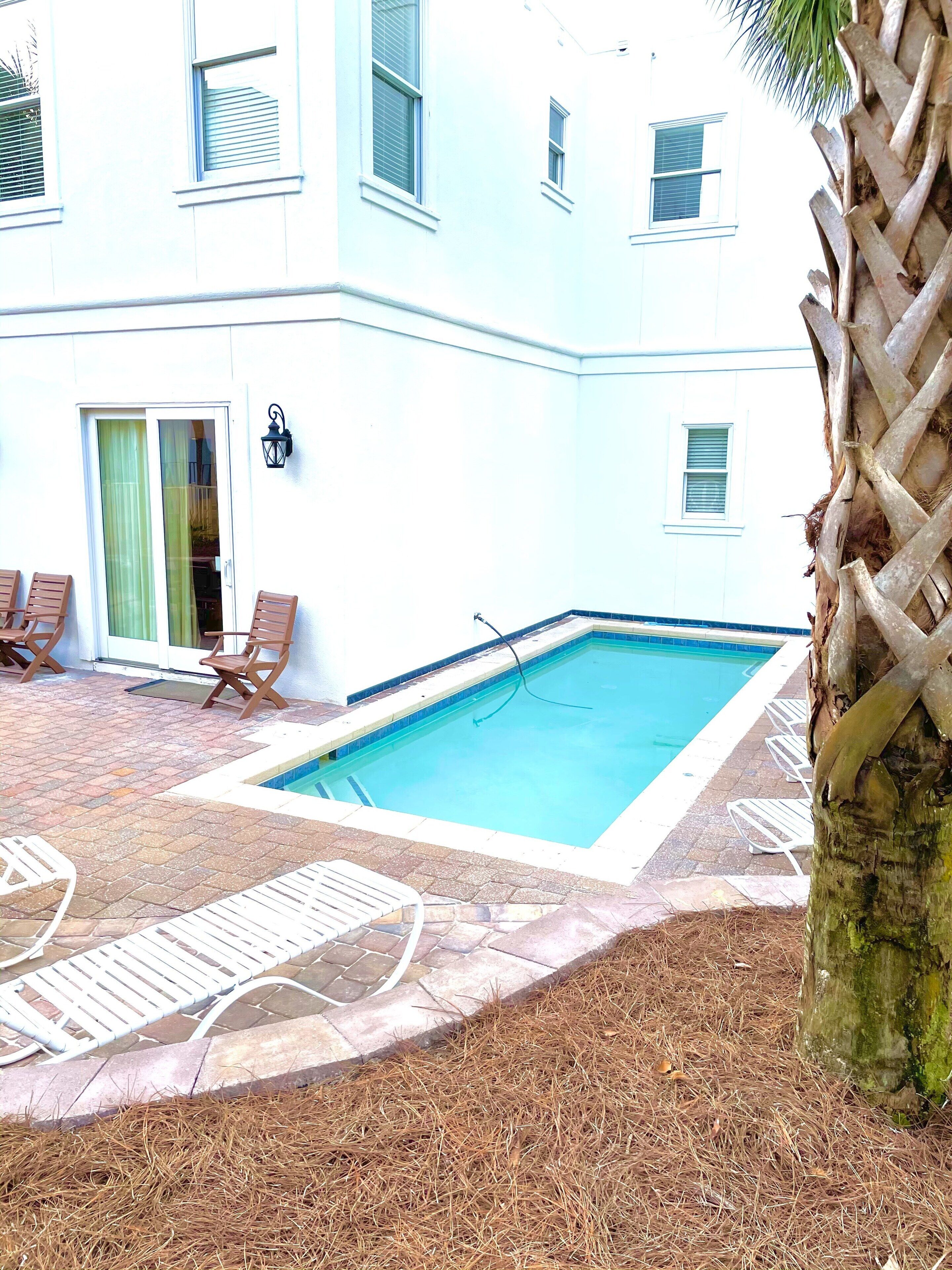 A pool area with a tiled deck, lounge chairs, and a palm tree.