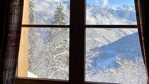 Une fenêtre donnant sur des montagnes et des arbres couverts de neige.