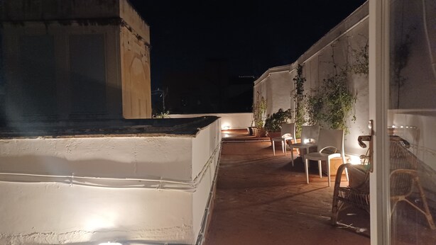 Une terrasse sur le toit, avec des murs blancs, des plantes en pot et des sièges d’extérieur.