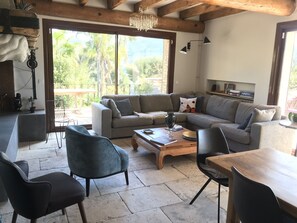 TV connectée, cheminée, lecteur de DVD, livres