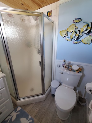 A bathroom with a glass shower enclosure, a toilet, and a sink. - Breakwater Village, Coastal Cottage w/access to a private beach (Narragansett)