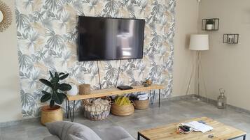 Televisie, een open haard en boeken