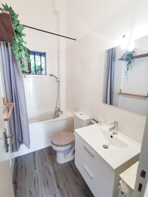 Combined shower/tub, hair dryer, towels, soap