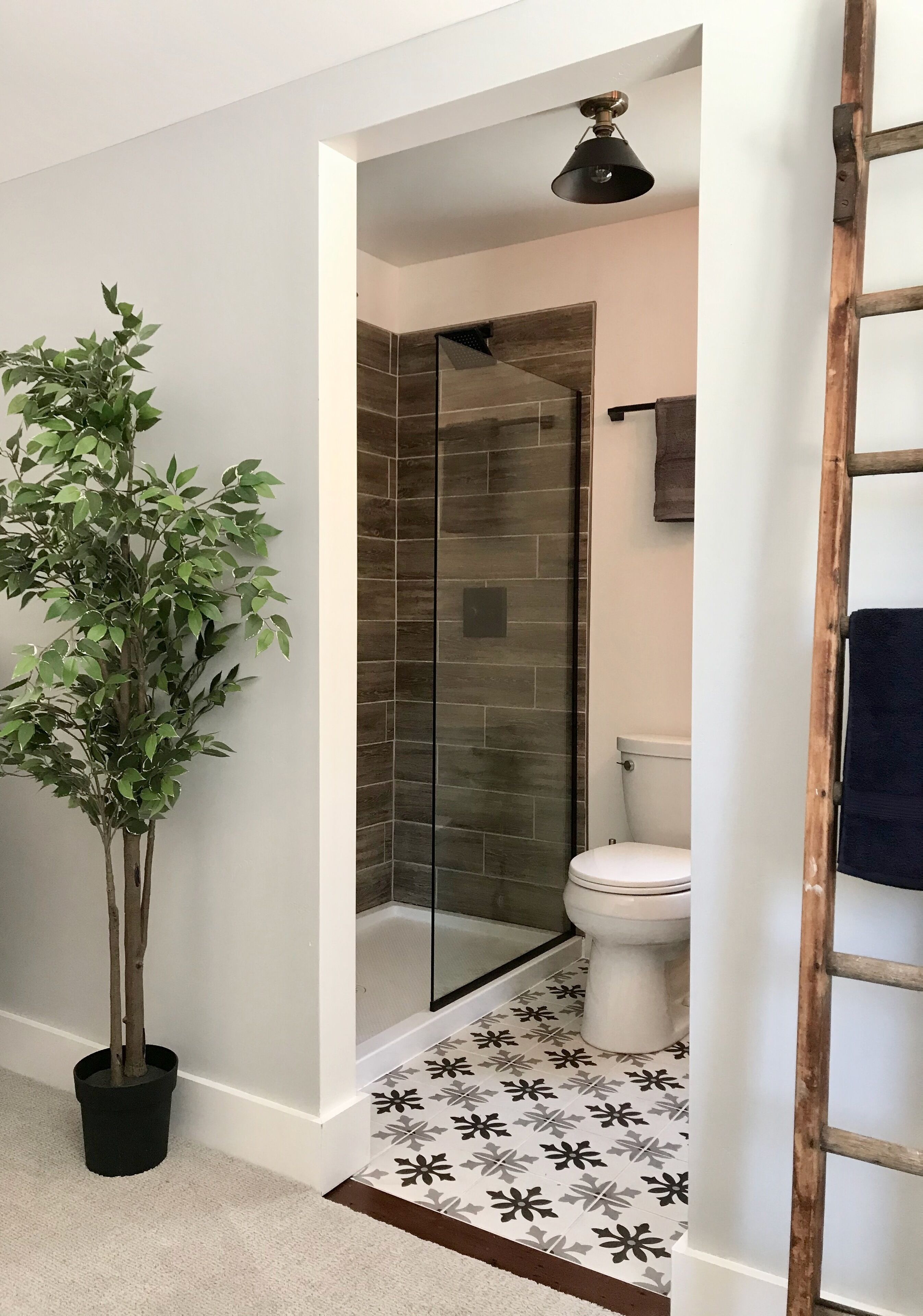 A bathroom with a glass shower enclosure, a toilet, and a potted plant.