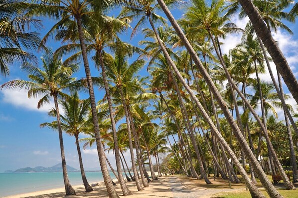 Beach nearby, sun loungers, beach towels