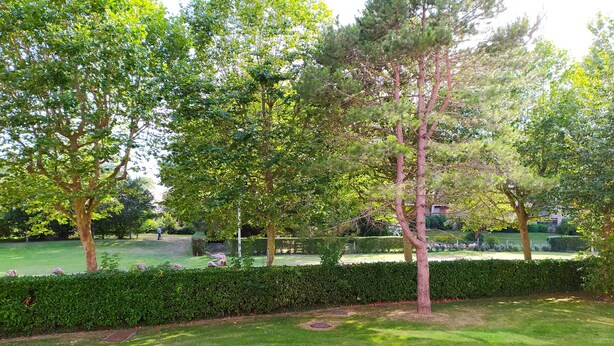 A well-maintained garden with a variety of trees and a neatly trimmed hedge. - Cabourg: Quiet apartment overlooking a park (Cabourg)