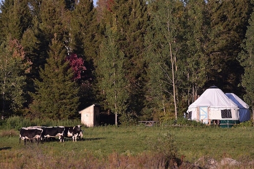 Escape to Nature: Cozy Yurt on a Heritage Farm with Trails, Pond, & Sauna