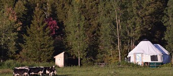 Escape to Nature: Cozy Yurt on a Heritage Farm with Trails, Pond, & Sauna