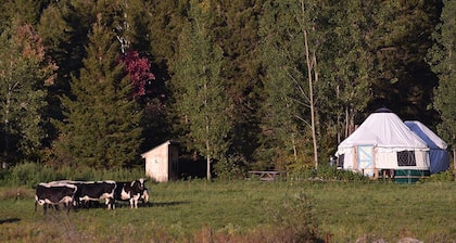 Escape to Nature: Cozy Yurt on a Heritage Farm with Trails, Pond, & Sauna