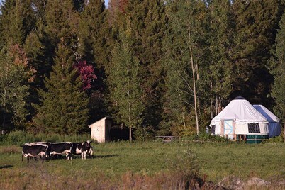 Escape to Nature: Cozy Yurt on a Heritage Farm with Trails, Pond, & Sauna