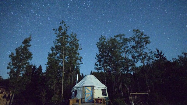 A tented structure in a forest with a clear night sky. - Escape to Nature: Cozy Yurt on a Heritage Farm with Trails, Pond, & Sauna (Powassan)