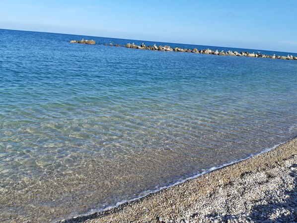 بالقرب من الشاطئ