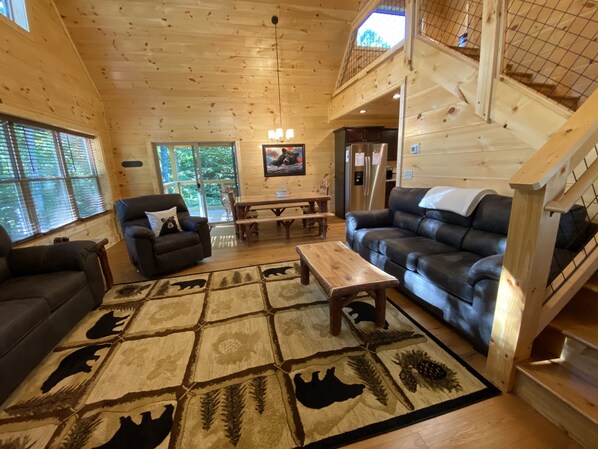 Smart TV, fireplace, DVD player, video library