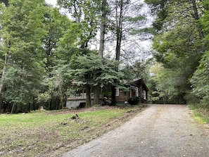 A rustic cabin surrounded by dense forest, accessible by a gravel path. - A retreat is waiting. (Roaring Gap)