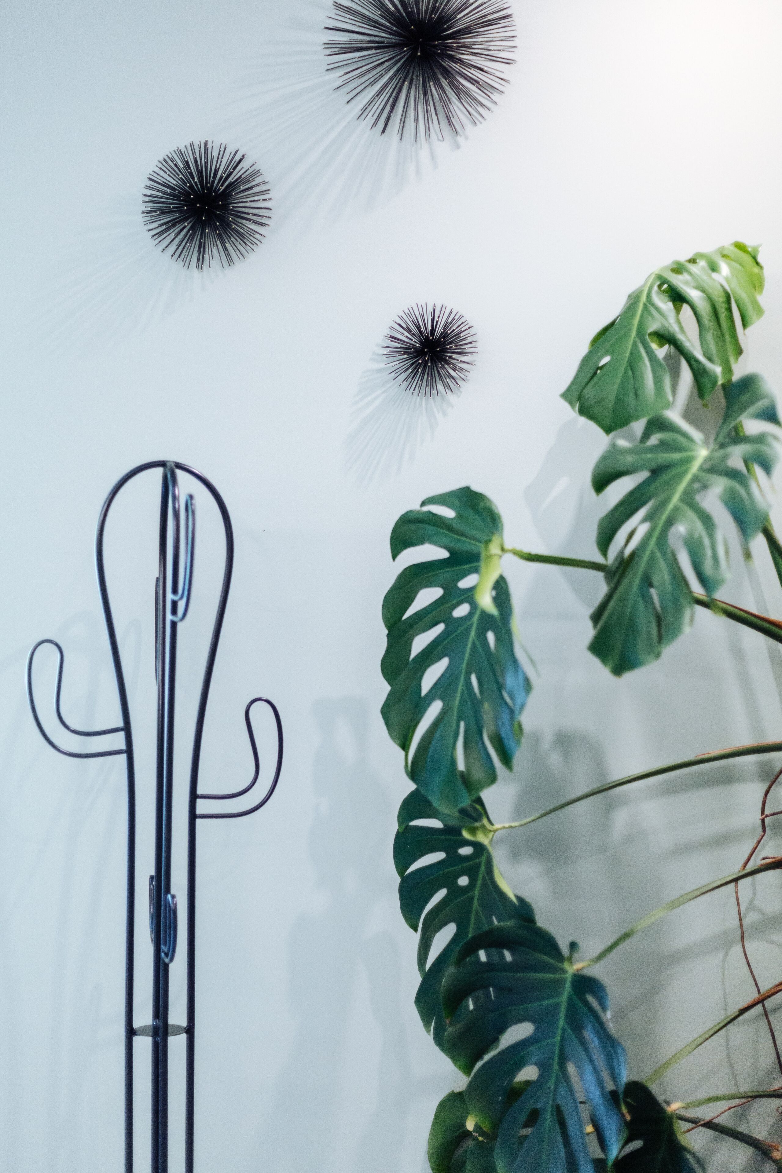 A cactus-shaped metal sculpture on a wall, a large monstera plant, and three black spherical wall decorations.