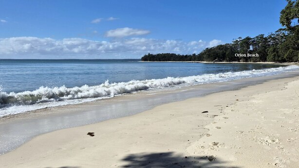 Une plage avec une eau d’un bleu limpide, un rivage sablonneux et des arbres en arrière-plan.