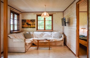 Téléviseur, foyer