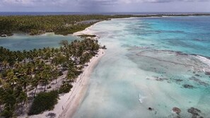 Eine Luftaufnahme eines Strandes mit klarem türkisblauem Wasser, sandigem Ufer und üppigen Palmen.