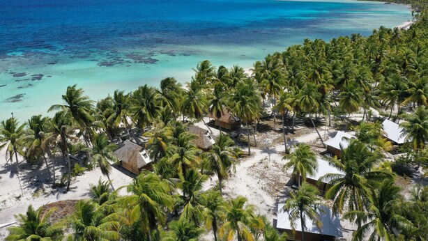 A tropical beach with palm trees and clear blue waters. - Aotera Guest House (Rangiroa)