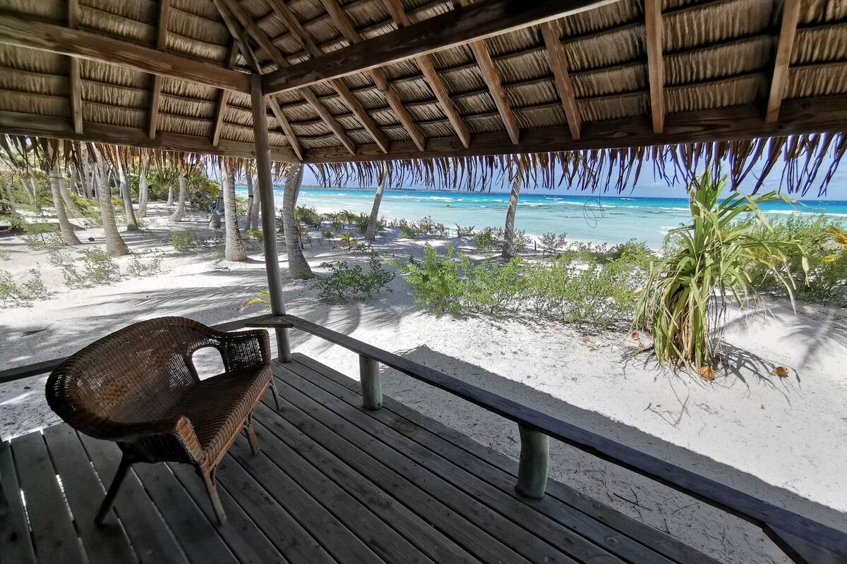 A wooden deck with a thatched roof overlooking a beach with palm trees and a view of the ocean.