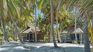 A beachside resort with thatched-roof huts, palm trees, and sandy ground. - Aotera Guest House (Rangiroa)