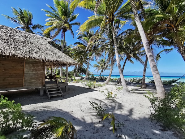 Eine Strandhütte mit einem Reetdach, umgeben von Palmen und freiem Blick auf den Ozean.